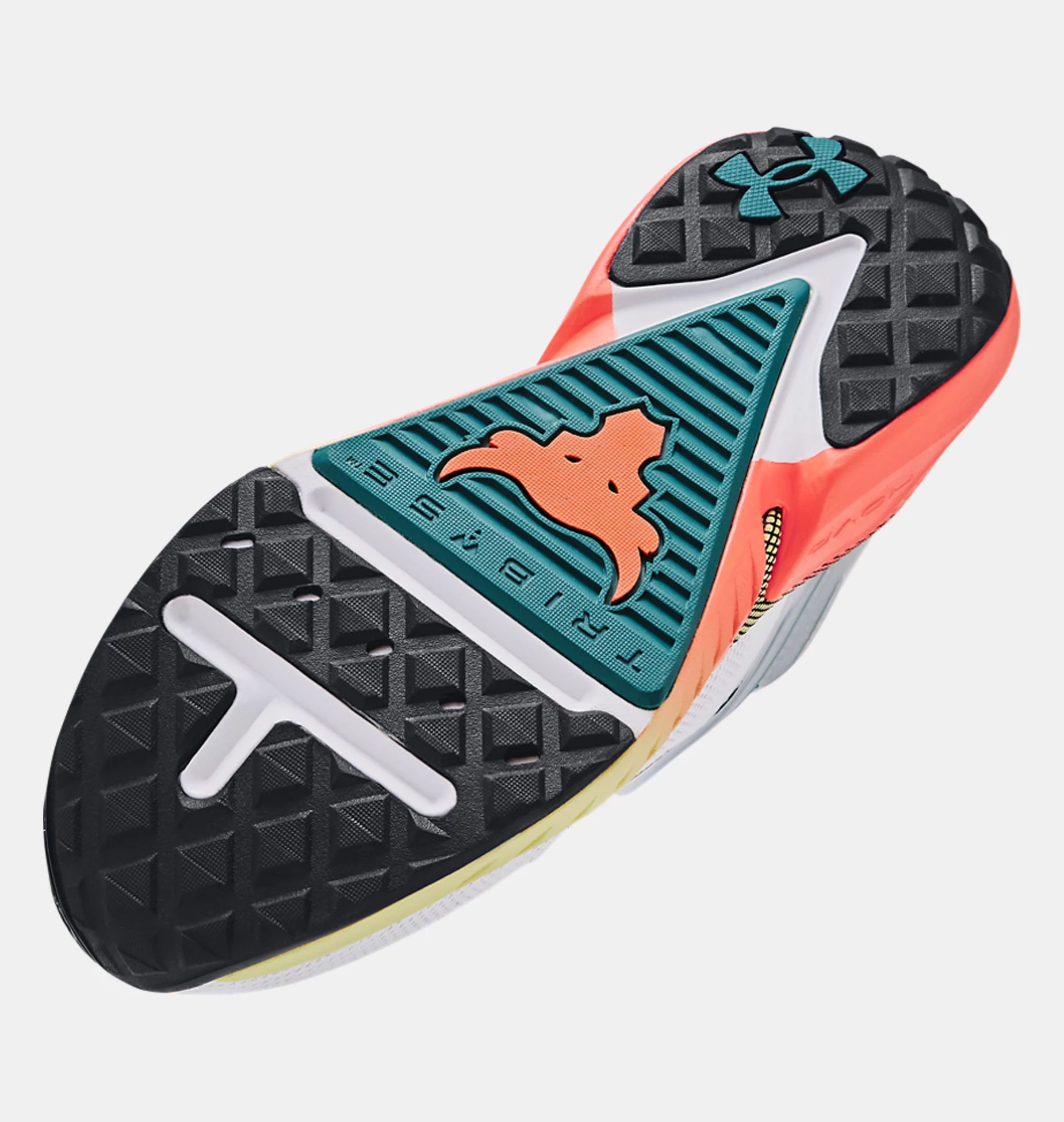 Fitness Shoes -  under armour Project Rock 5 